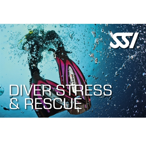 Stress & Rescue Diver