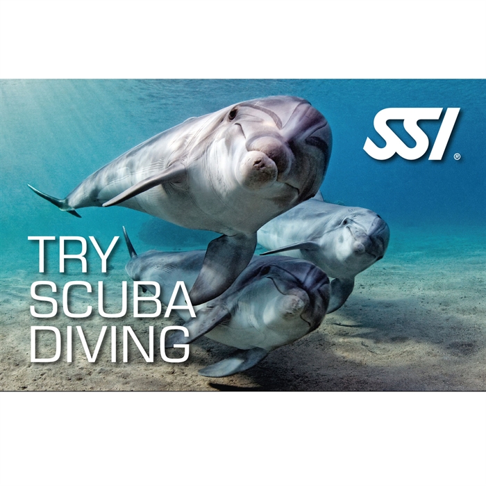 Prøvedyk / Try scuba diving